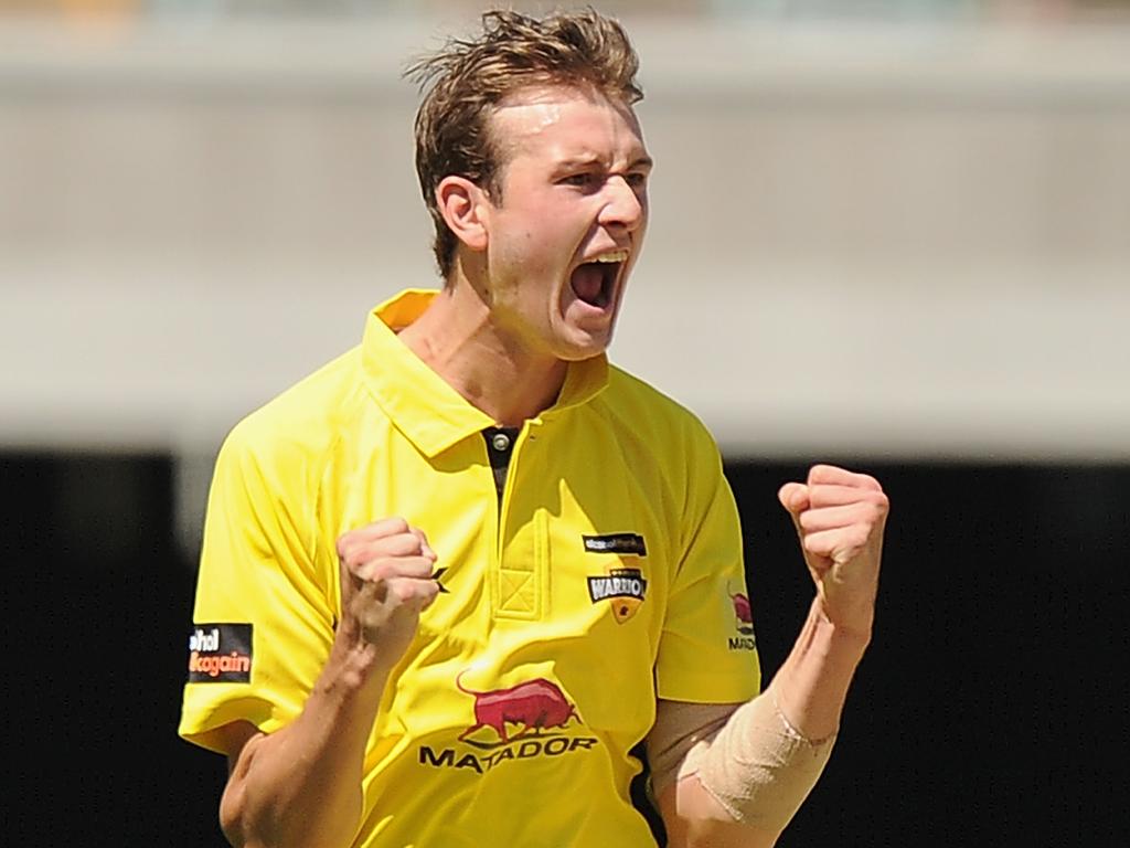 Paris celebrates a wicket for Western Australia.