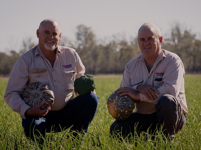 St George vegie growers boost bottom line