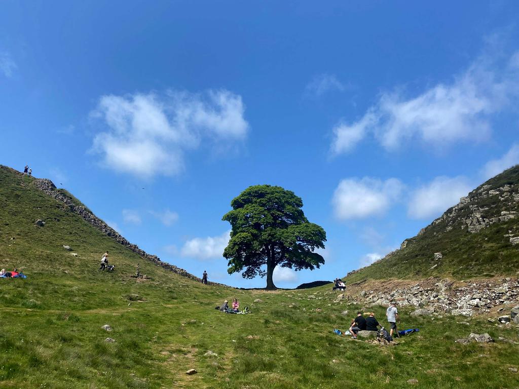 One of the UK's most photographed trees has been "deliberately felled," the authority responsible for the local National Park said on September 28, 2023. Picture: AFP.