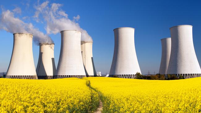 A nuclear power plant in Slovakia. Opposition Leader Peter Dutton has called for the energy source to be part of a national strategy.