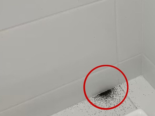 Mother’s horrifying shower find. Picture: Facebook/Mums who clean