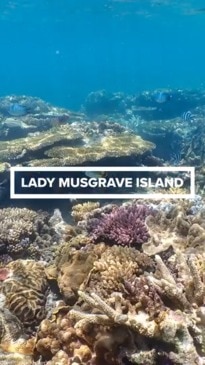Lady Musgrave Island with Katy Webster 
