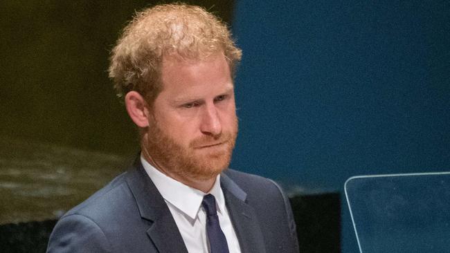 NEW YORK, NY - JULY 18: Prince Harry, Duke of Sussex, speaks at the United Nations General Assembly on Nelson Mandela International Day at U.N. headquarters on July 18, 2022 in New York City. Nelson Mandela International Day was officially declared by the United Nations in November of 2009 and was first celebrated on July 18, 2010. The 2020 U.N. Nelson Mandela Prize is being awarded to Mrs. Marianna Vardinogiannis of Greece and Dr. Morissanda KouyatÃ© of Guinea.   David Dee Delgado/Getty Images/AFP == FOR NEWSPAPERS, INTERNET, TELCOS & TELEVISION USE ONLY ==