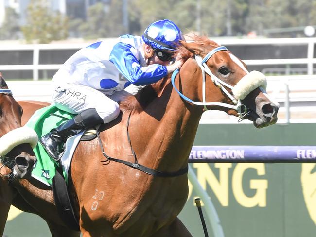 Autumn Angel ridden by Mark Zahra wins the TAB Kewney Stakes at Flemington Racecourse on March 09, 2024 in Flemington, Australia. (Photo by Brett Holburt/Racing Photos via Getty Images)