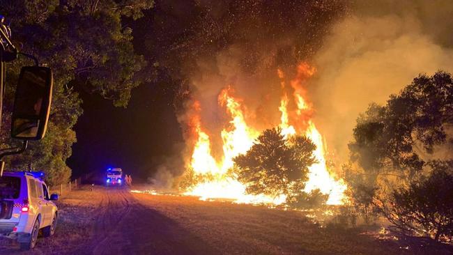 CFS battle the Cherry Gardens bushfire from the ground. Picture: Alex Thomson