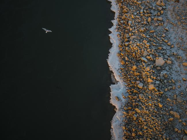 Hungarian photographer Peter Csakvari took this image River, Ice, Bird from the Margit Bridge overlooking the Danube in Budapest ‘on a very-very cold day’.