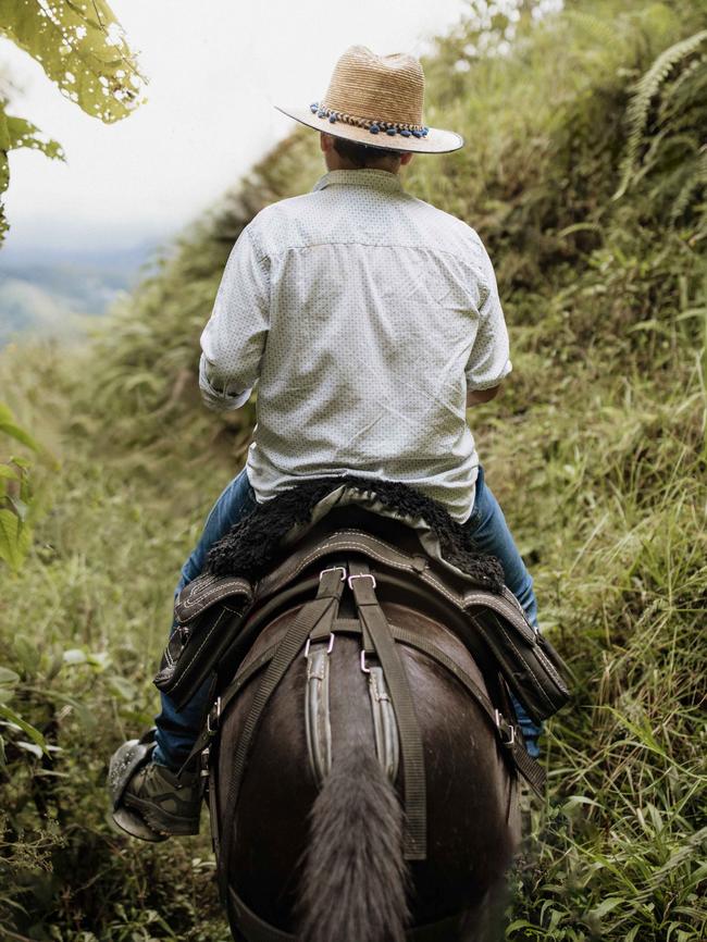 Horseback riding in Salento.