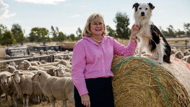 State member for Warrego Ann Leahy spent a decade volunteering for Zonta and continues to volunteer for local shows and clubs including Rotary.