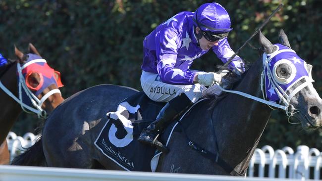 Asterias has been racing in great form this preparation. Picture: AAP