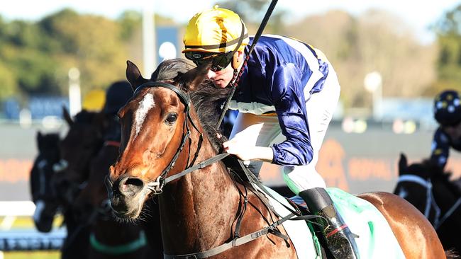 Nash Rawiller wins at Randwick aboard Ha Ha Ha. Picture: Jeremy Ng / Getty Images