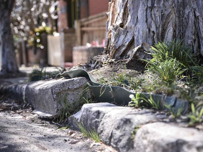 A kerb damaged by tree roots in Leichhardt. (AAP IMAGE -Flavio Brancaleone)