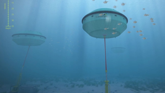 CETO technology uses a submerged buoy driven by the orbital motion of waves to propel a power take-off system that converts wave motion into electricity.