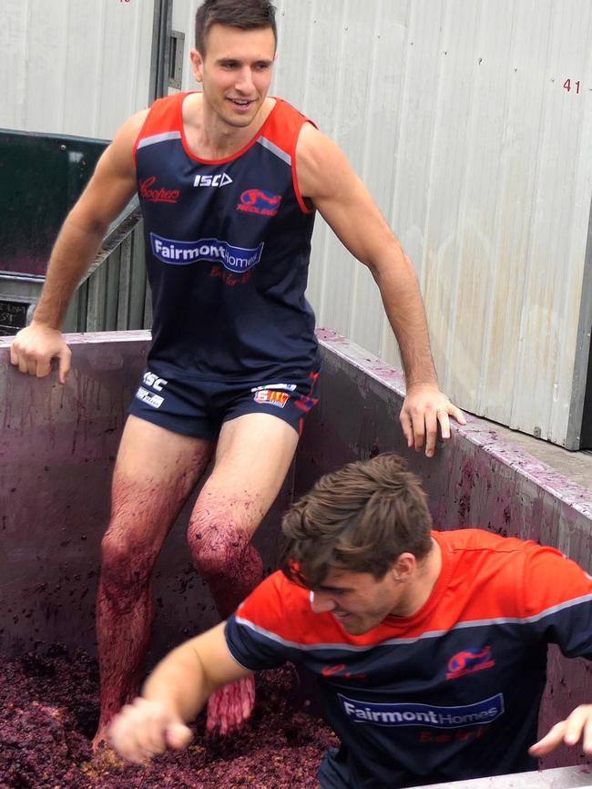 Matthew Panos and Harry Viney crush grapes at d'Arenberg winery.