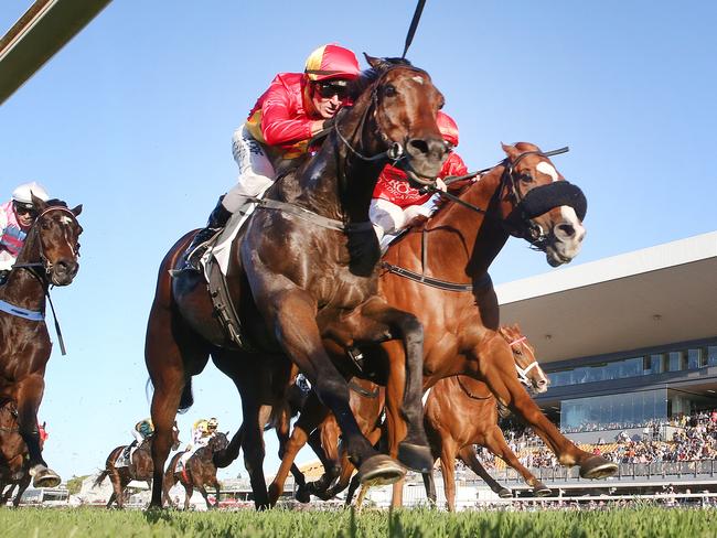 Stradbroke bound Malaguerra delivers a powerful performance in the feature event. Picture Jono Searle