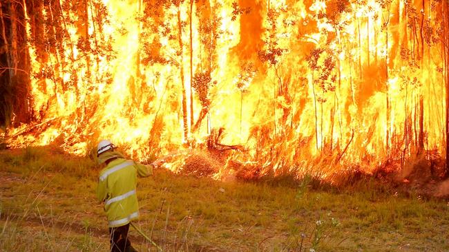 Bushfires on Port Macquarie’s Crestwood Drive in 2019. Picture: Nathan Edwards