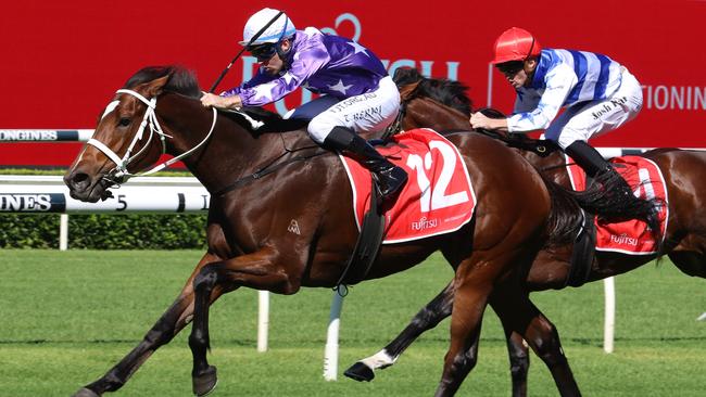 Kiku has been specked at big odds in the Emancipation Stakes (race 5) at Rosehill. Picture: Grant Guy