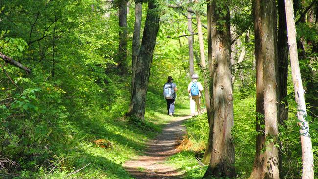 Walk Japan’s five-day Nakasendo Way: The Kiso Road walk costs 256,000 yen a person twin share. Picture: Supplied.