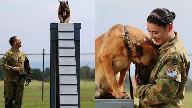 Close bond ... Corporal Patrick Hanley with his dog Flynn and Leading Aircraft Woman Celia Monahan with her dog Ronga. Picture: Tony Zerna/NewsCorp