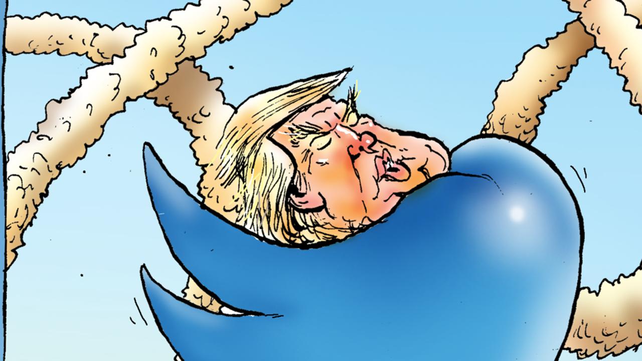 US President Donald Trump in part of Mark Knight’s cartoon.