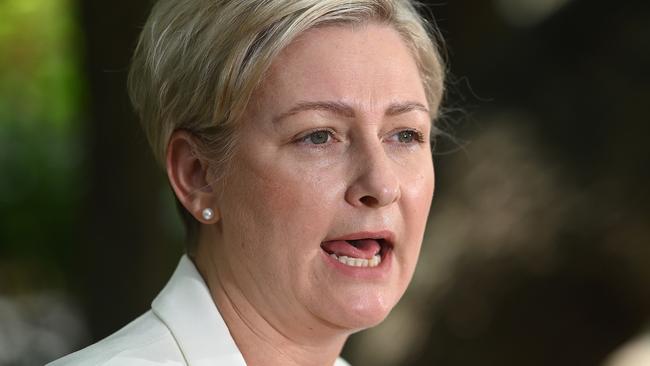 Minister for Domestic and Family Violence Amanda Camm at a media conference in Brisbane on Saturday. Picture: John Gass