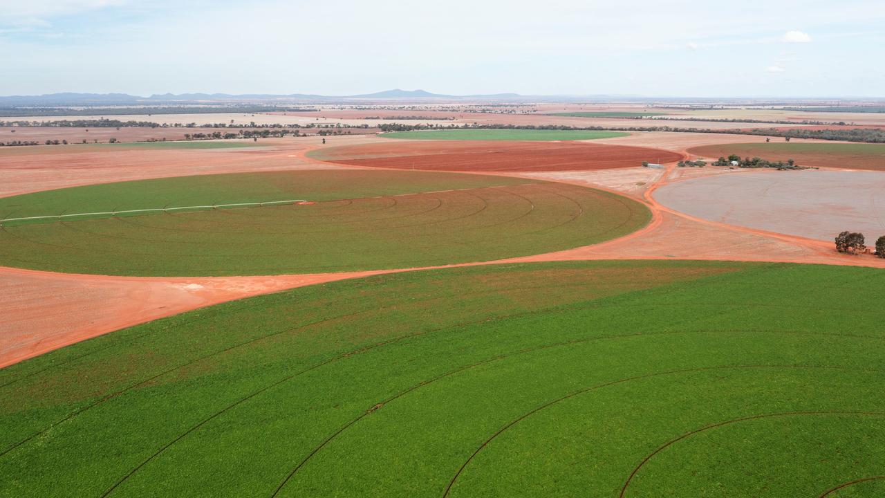 Canadians to sell NSW Riverina farms for $45m-plus