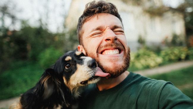 The study found that cat owners seem more open, while dog owners come across as more extroverted, agreeable and less neurotic.
