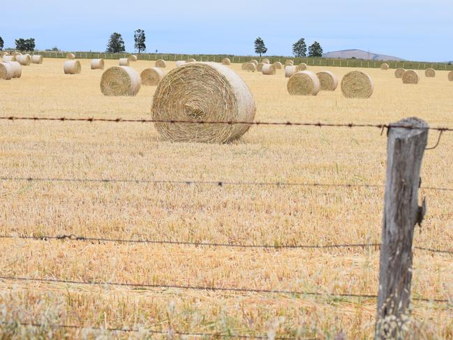 Hay bales. Generic hay. Hay in the paddock. Hay just baled in the paddock near Clunes in central Victoria.