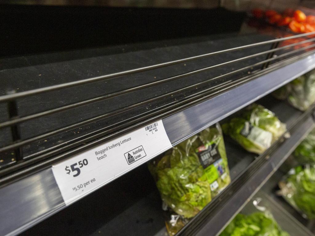 Coles in the Darwin CBD and Casuarina Square both had run out of their $5.50 a bunch iceberg lettuce on Thursday. Picture: Floss Adams.