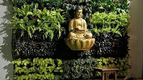 An indoor vertical garden at a home in Ascot. Picture: Ray White