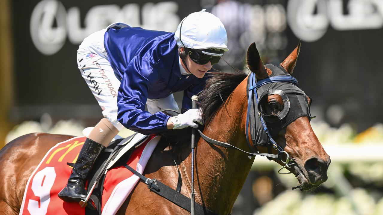 Two mates breed Tasmania’s Melbourne Cup hopeful The Map Daily Telegraph