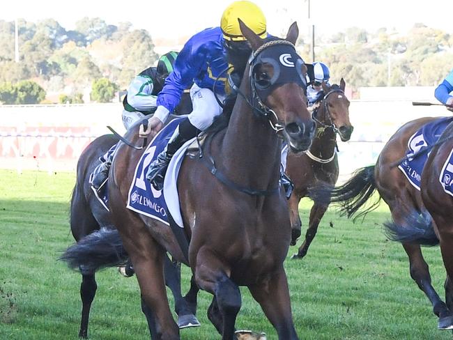 Who Dares ridden by Patrick Moloney wins the Hilton Nicholas Straight Six at Flemington Racecourse on May 18, 2024 in Flemington, Australia. (Photo by Brett Holburt/Racing Photos via Getty Images)