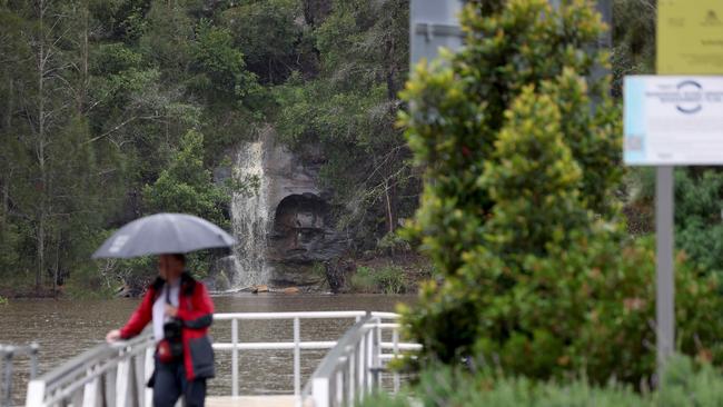 High water levels on the Woronora River. Picture: Damian Shaw