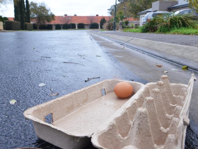 Scene of a road rage incident in Birch Ave, Salisbury East, where teenagers were threatened with a gun after throwing eggs at a car, Tuesday, June 12, 2018. Egg carton in the gutter. (AAP Image/ Brenton Edwards)