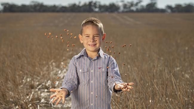 Jack Pearse with faba beans. Picture: Zoe Phillips