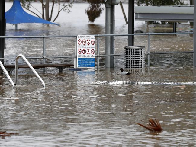 Camden War Memorial Pool under water on Sunday morning. Picture: Jonathan Ng