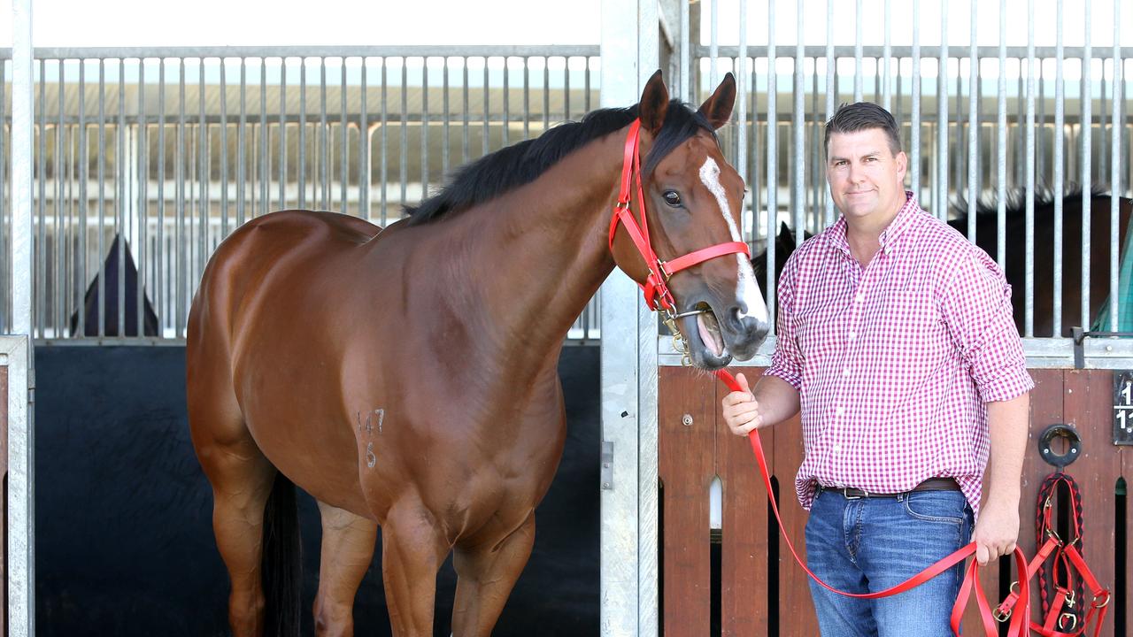 Trainer Chris Anderson with racehorse Profit at Eagle Farm. Picture: Steve Pohlner