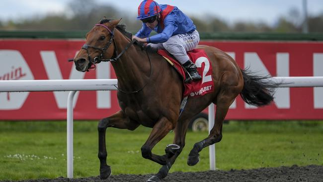 Dubai Honour finally claimed a deserved Group 1 win in Europe when he saluted in the Grand Prix de Saint-Cloud in Paris overnight. Picture: Getty Images/File