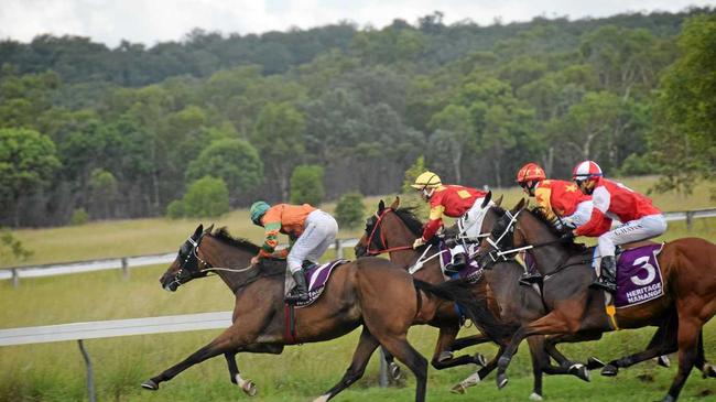 Horse and jockey taking the lead. Picture: Madeline Grace