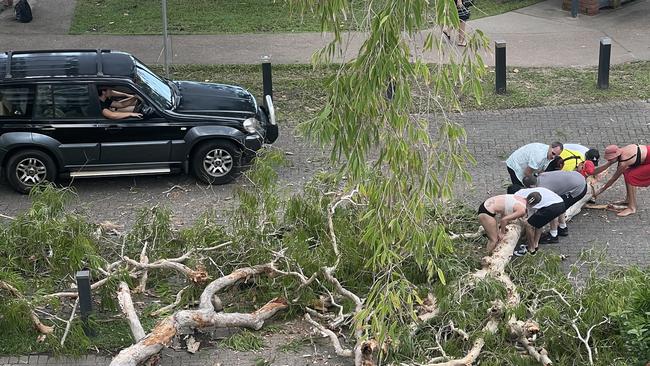 Residents concerned over fallen tree branches in Palm Cove. Picture: Supplied.