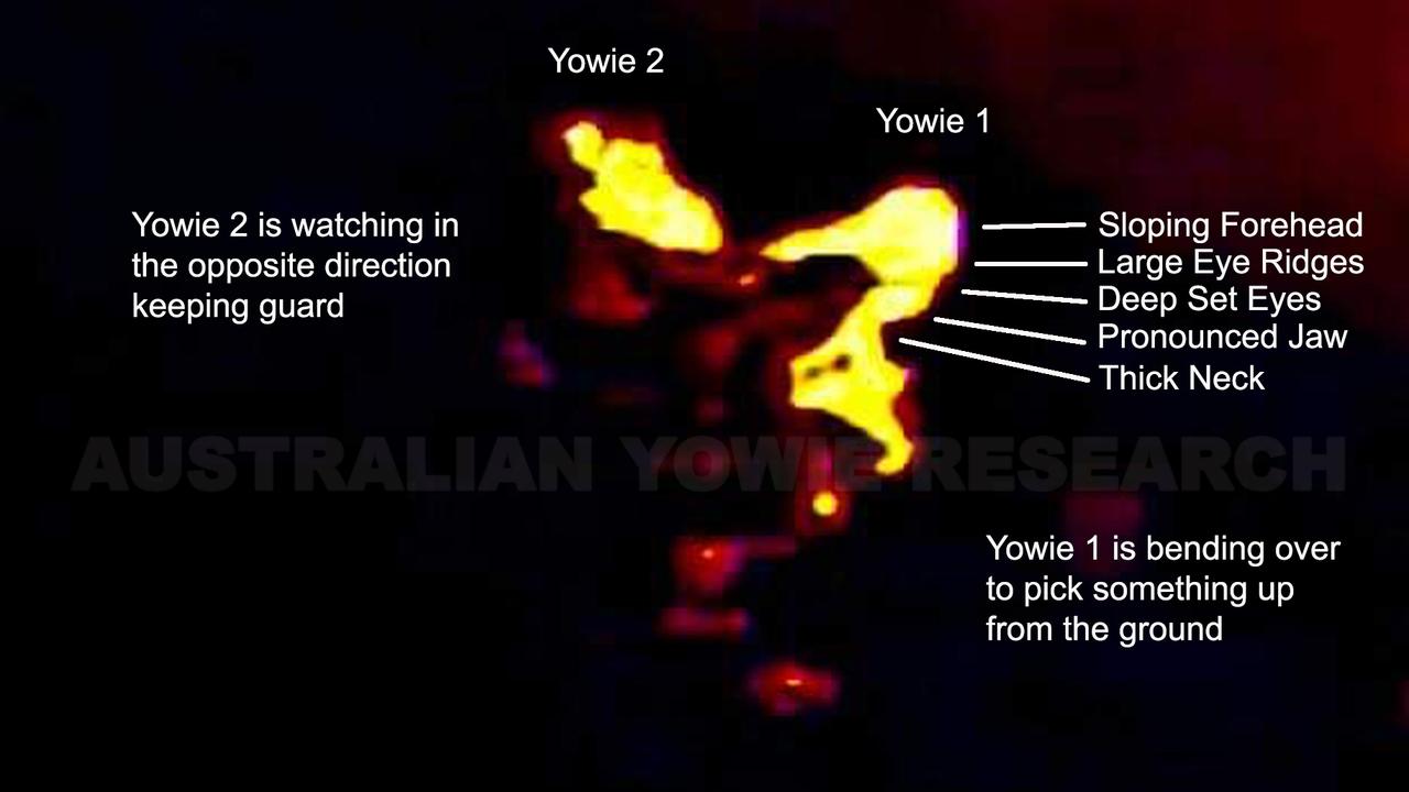 Yowie Research administrator Dean Harrison has been compiling hundreds of accounts of yowie sightings for more than two decades. Picture: Dean Harrison