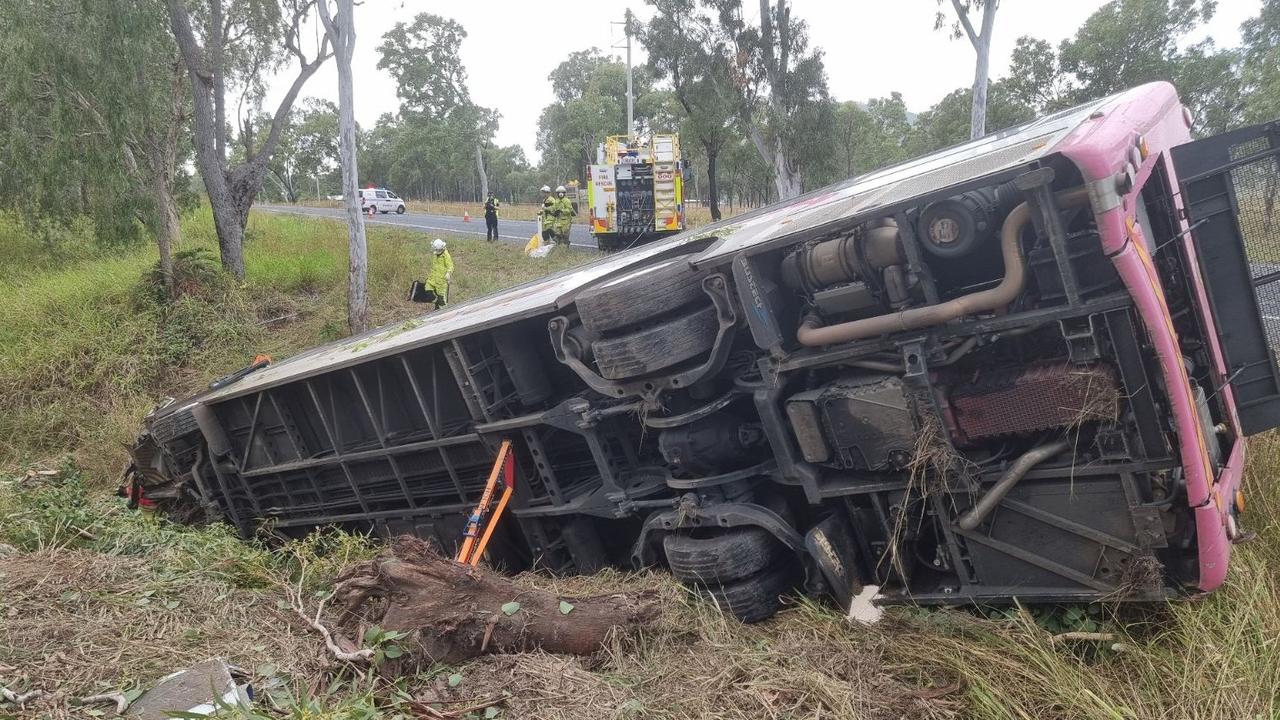 Nankin, QLD: Bus Driver Killed In Crash With Camels | News.com.au ...