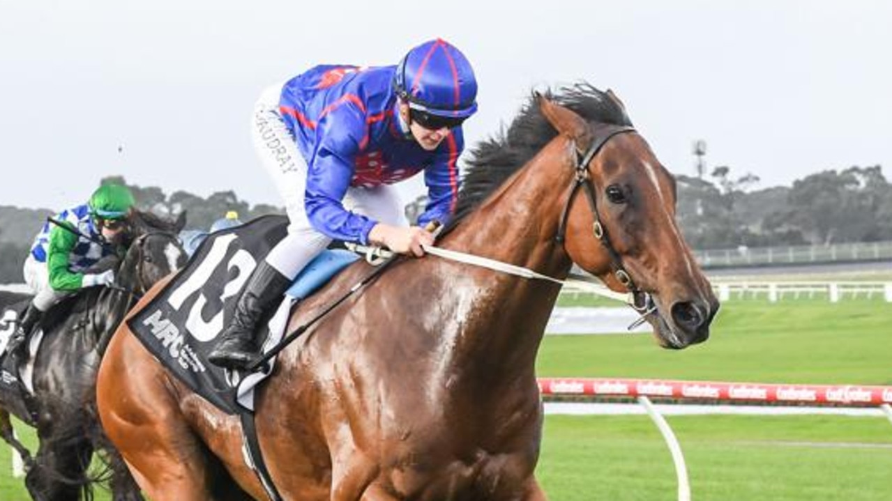 On The Punt: Best bets for Cranbourne on Saturday, November 23