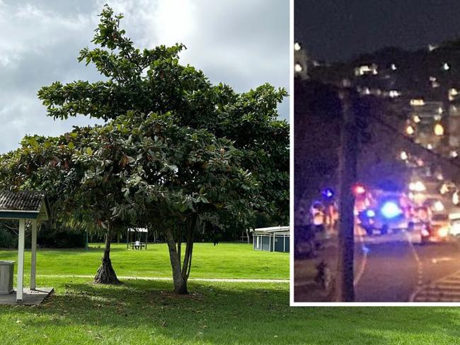 Coolum Beach stabbing.