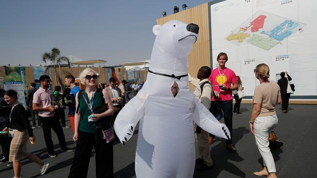 An activist wears a polar bear outfit while camapaigning during the COP27 climate conference in Egypt. Picture: AFP