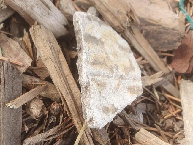 Suspected building materials located in the tree bark at Spotswood's Donald McLean Reserve park, opened in April 2023 by Hobsons Bay City Council and the West Gate Tunnel Project, has forced its temporary closure amid community safety concerns. Picture: Nilsson Jones