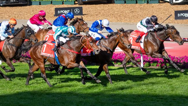 Romantic Warrior (No. 1) narrowly beat Mr Brightside (right) and Alligator Blood (blue and white) in an epic Cox Plate finish.