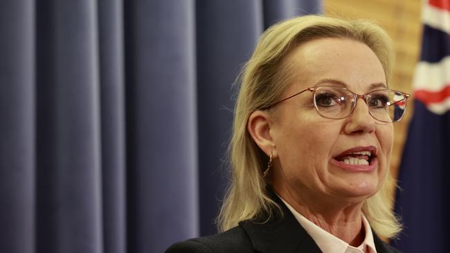 Sussan Ley, the first woman to be elected leader of the federal party. Picture: Getty