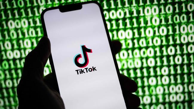 Opposition home affairs spokesman James Paterson has threatened to name and shame companies using the TikTok Pixel tracking code. Picture: AFP