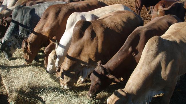 The owners of a Top End cattle station are suing Origin Energy in the Supreme Court in a bid to stop the gas giant from expanding its fracking operation on their property.