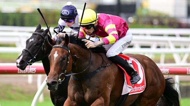 Appin Girl winning the Listed Dalrello Stakes at Eagle Farm under jockey Boris Thornton. Picture: Grant Peters, Trackside Photography